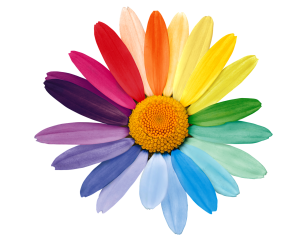 marguerite, daisy, rainbow colors-6374665.jpg